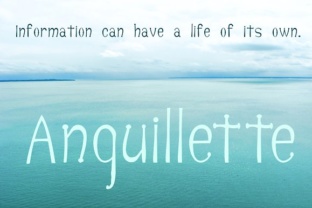 Anguillette: A Serif Font for Thoughtful Editorial Design