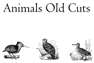 Animals Old Cuts Font for Branding and Design