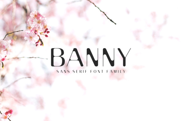 Banny Sans Serif Family for Professional Branding