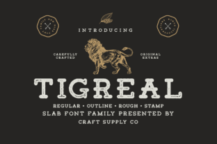 Bring Your Creations to Life with the Tigreal Family Font