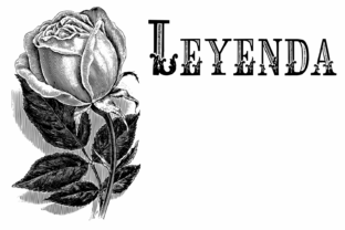 Elevate Your Editorial Design with the Leyenda Font