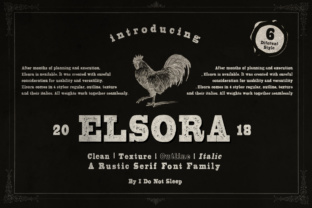 Elsora Font for a Timeless Brand Look
