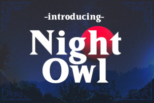 Enhance Your Brand with the Night Owl Serif Font