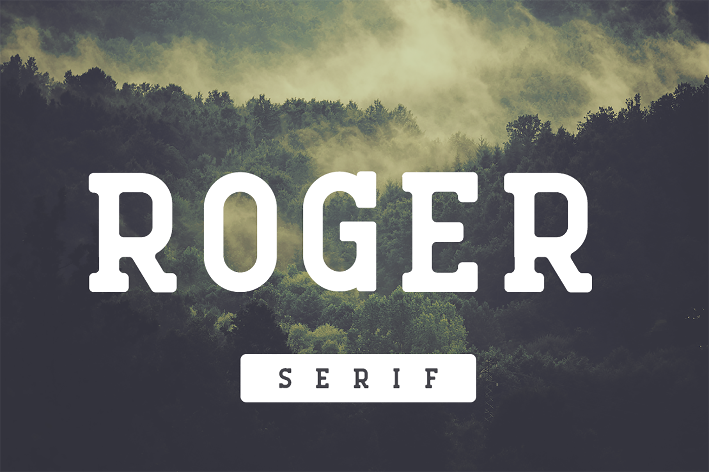 Enhance Your Editorial Design with Roger Serif