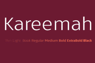 Kareemah: A Modern Sans Serif Font for Web Design