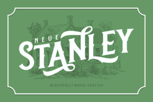 Neue Stanley for Web Design and Brand Identity