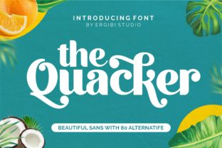 Quacker Sans Serif Font for Web Design