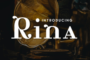 Rina – A Timeless Serif Font for Digital Marketing