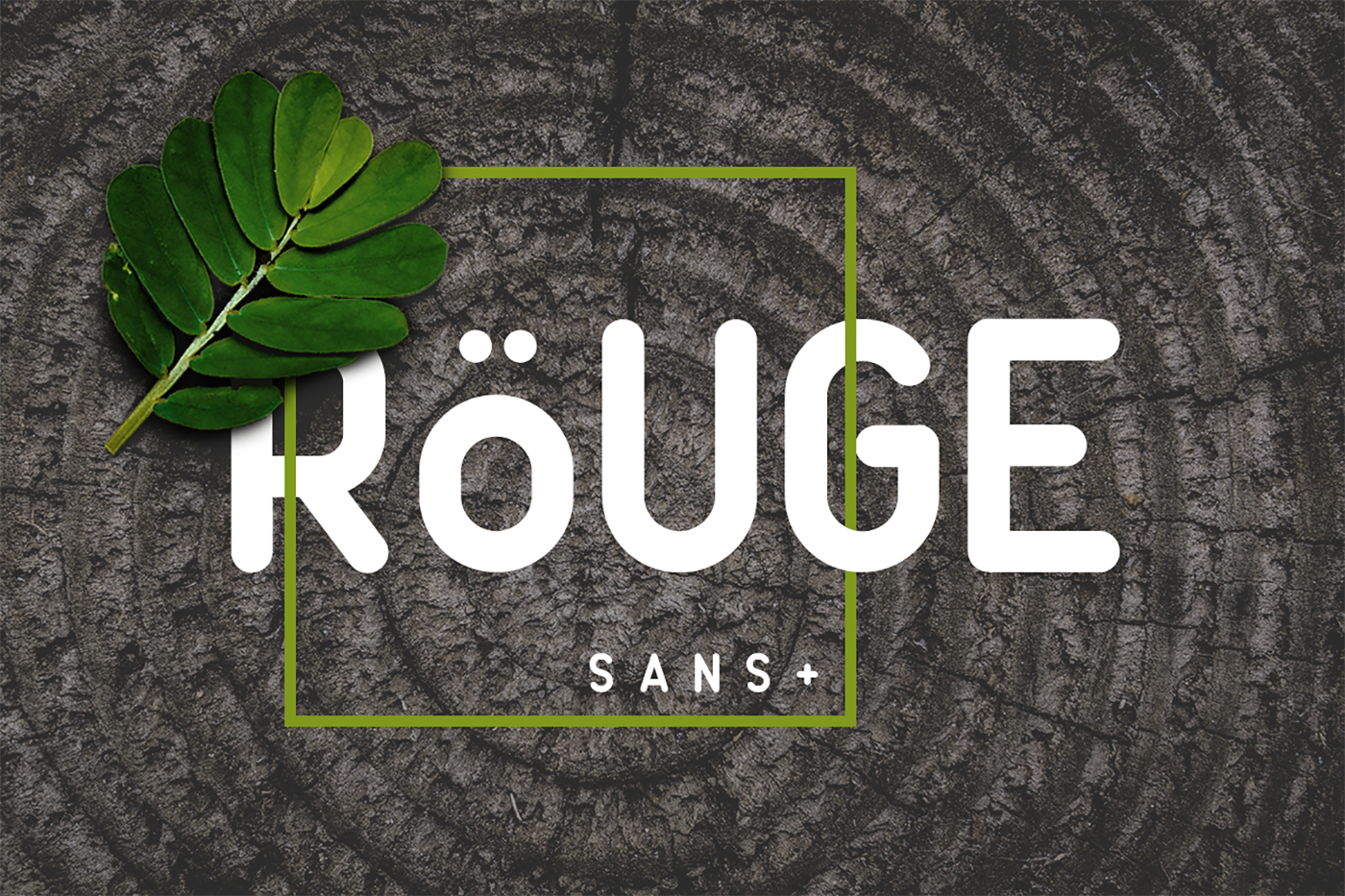 Rouge Sans: A Designer's Take on a Modern Sans Serif