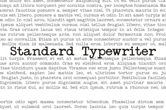 Standard Typewriter: A Simple Font for a Polished Brand Look
