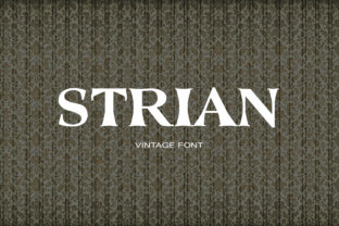 Strian: A Vintage Serif Font for Editorial Design